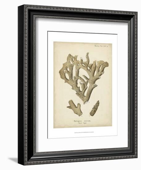 Coral Collection IV-Johann Esper-Framed Art Print