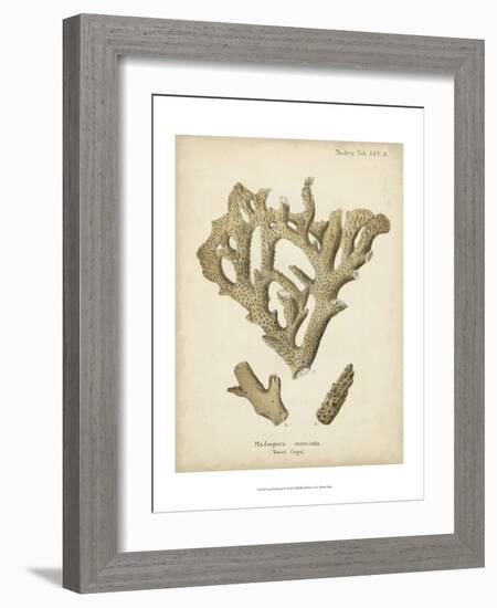 Coral Collection IV-Johann Esper-Framed Art Print