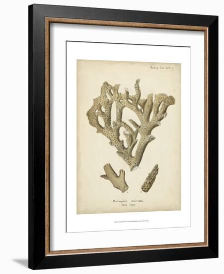 Coral Collection IV-Johann Esper-Framed Art Print