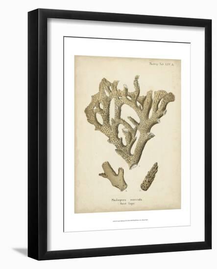 Coral Collection IV-Johann Esper-Framed Art Print