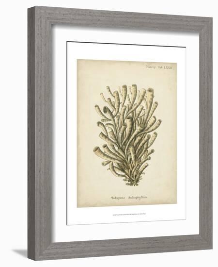 Coral Collection IX-Johann Esper-Framed Art Print