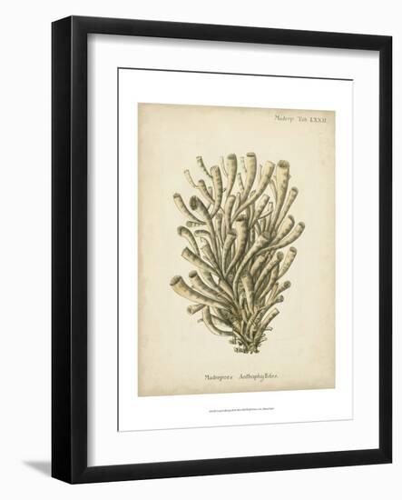 Coral Collection IX-Johann Esper-Framed Art Print