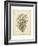 Coral Collection IX-Johann Esper-Framed Art Print