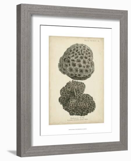 Coral Collection V-Johann Esper-Framed Art Print