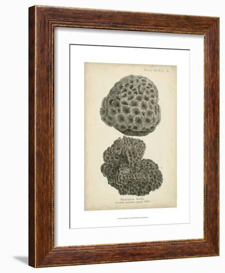 Coral Collection V-Johann Esper-Framed Art Print
