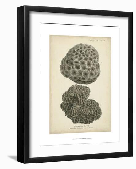 Coral Collection V-Johann Esper-Framed Art Print