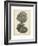 Coral Collection V-Johann Esper-Framed Art Print