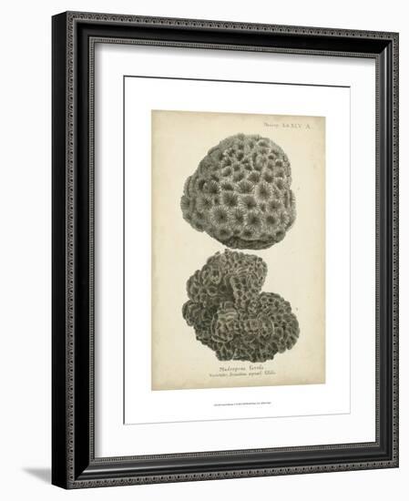 Coral Collection V-Johann Esper-Framed Art Print