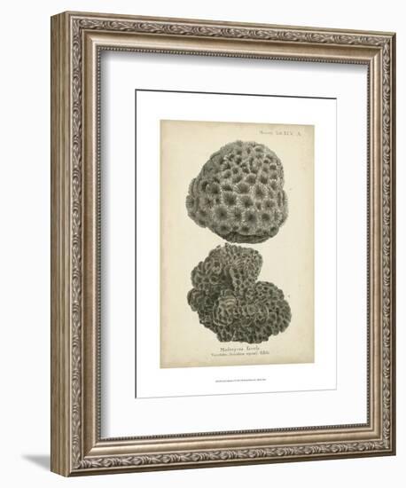 Coral Collection V-Johann Esper-Framed Art Print