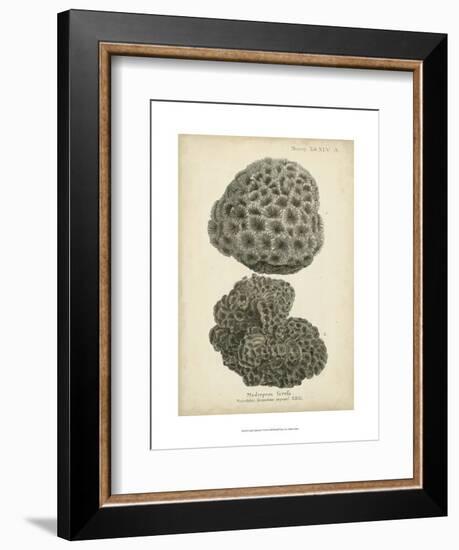 Coral Collection V-Johann Esper-Framed Art Print