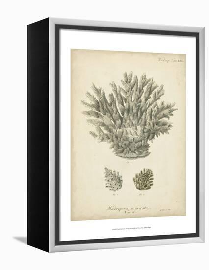 Coral Collection VII-Johann Esper-Framed Stretched Canvas