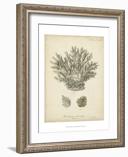 Coral Collection VII-Johann Esper-Framed Art Print