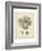 Coral Collection VII-Johann Esper-Framed Art Print