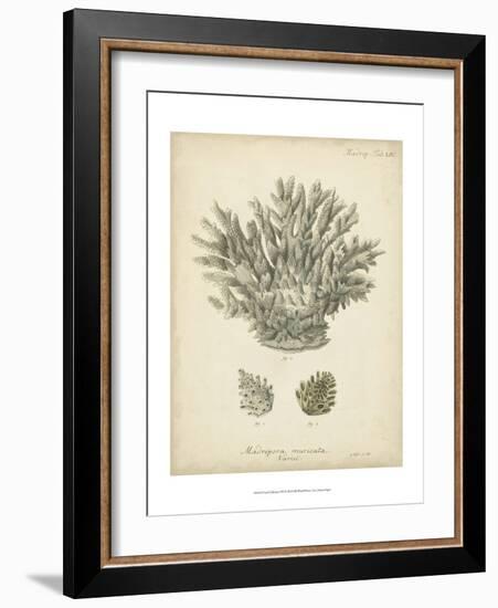 Coral Collection VII-Johann Esper-Framed Art Print