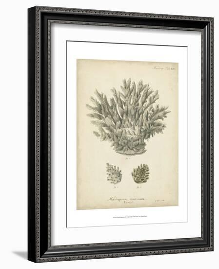 Coral Collection VII-Johann Esper-Framed Art Print