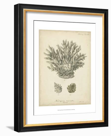 Coral Collection VII-Johann Esper-Framed Art Print