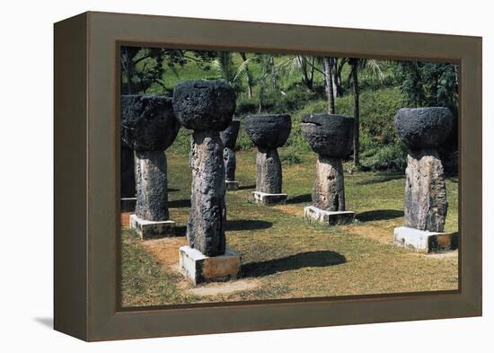 Coral Columns, Guam, Micronesia-null-Framed Premier Image Canvas