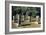 Coral Columns, Guam, Micronesia-null-Framed Giclee Print