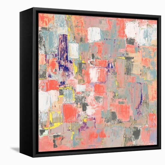 Coral Coterie-Ann Marie Coolick-Framed Stretched Canvas