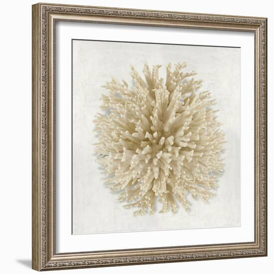 Coral Cream I-Caroline Kelly-Framed Art Print