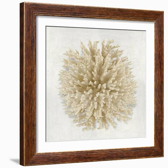 Coral Cream I-Caroline Kelly-Framed Art Print