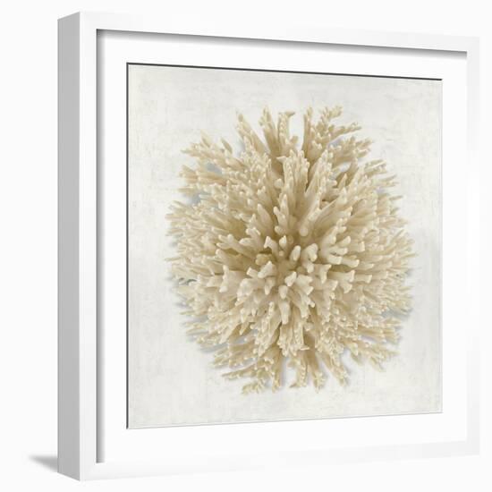 Coral Cream I-Caroline Kelly-Framed Art Print