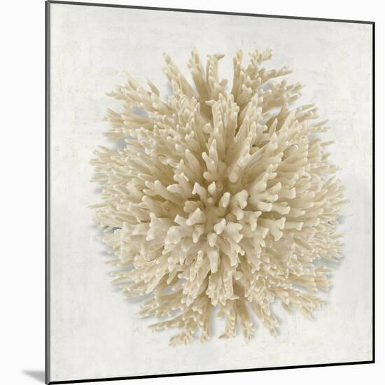 Coral Cream I-Caroline Kelly-Mounted Art Print