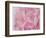 Coral Essence I-Eva Bane-Framed Photographic Print