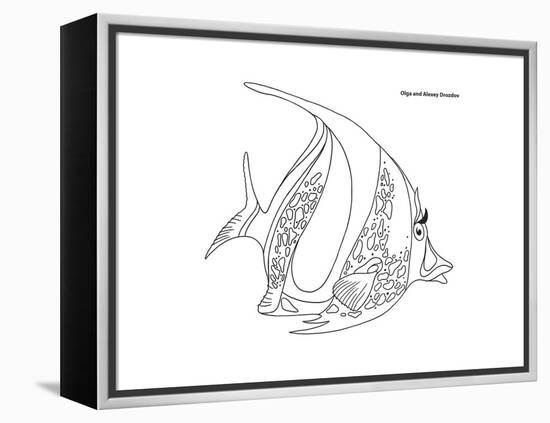 Coral Fish 11-Olga And Alexey Drozdov-Framed Premier Image Canvas