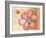 Coral Flower-Robbin Rawlings-Framed Art Print