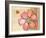 Coral Flower-Robbin Rawlings-Framed Art Print