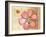 Coral Flower-Robbin Rawlings-Framed Art Print