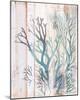 Coral Forest I-Ken Hurd-Mounted Giclee Print