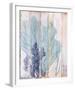 Coral Forest II-Ken Hurd-Framed Giclee Print