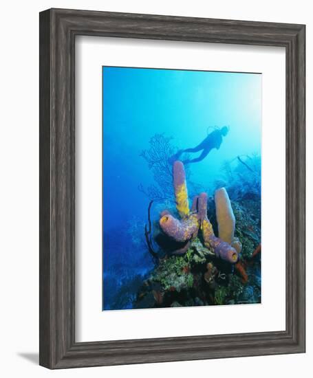 Coral Formations and Underwater Diver, Cozumel Island, Caribbean Sea, Mexico-Gavin Hellier-Framed Photographic Print