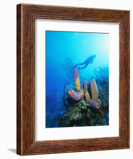 Coral Formations and Underwater Diver, Cozumel Island, Caribbean Sea, Mexico-Gavin Hellier-Framed Photographic Print