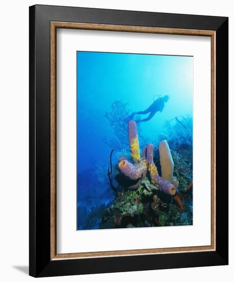 Coral Formations and Underwater Diver, Cozumel Island, Caribbean Sea, Mexico-Gavin Hellier-Framed Photographic Print