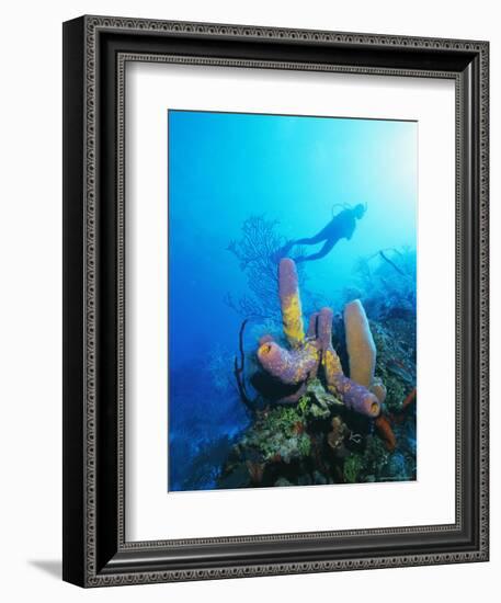 Coral Formations and Underwater Diver, Cozumel Island, Caribbean Sea, Mexico-Gavin Hellier-Framed Photographic Print