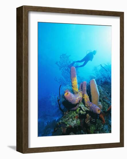 Coral Formations and Underwater Diver, Cozumel Island, Caribbean Sea, Mexico-Gavin Hellier-Framed Photographic Print