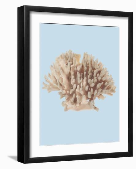 Coral I-Sloane Addison  -Framed Art Print