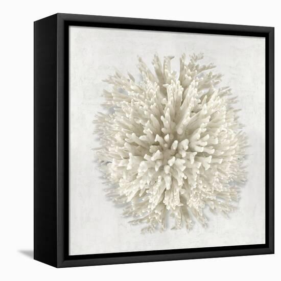 Coral I-Caroline Kelly-Framed Stretched Canvas