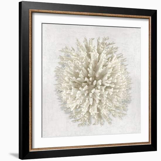 Coral I-Caroline Kelly-Framed Art Print