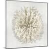 Coral I-Caroline Kelly-Mounted Art Print