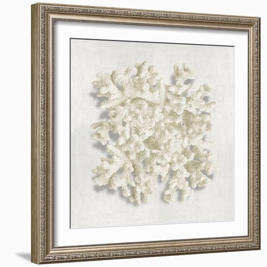 Coral II-Caroline Kelly-Framed Art Print