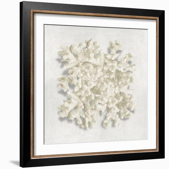 Coral II-Caroline Kelly-Framed Art Print