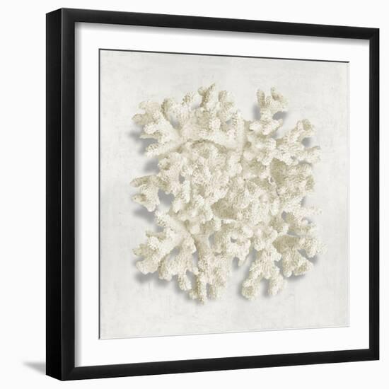 Coral II-Caroline Kelly-Framed Art Print