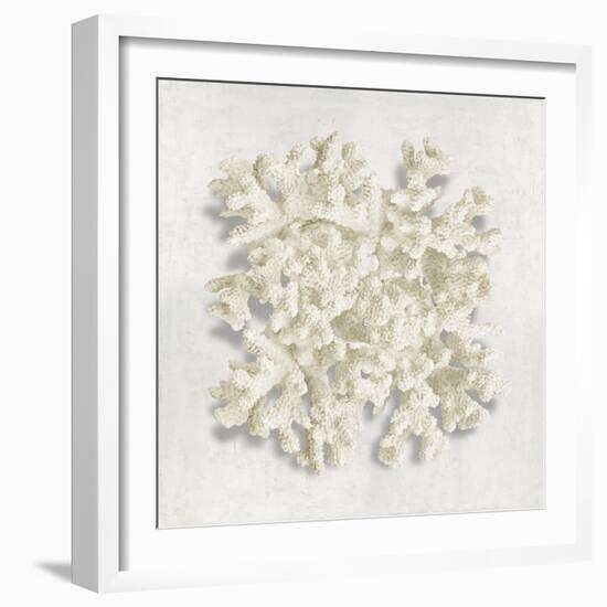 Coral II-Caroline Kelly-Framed Art Print