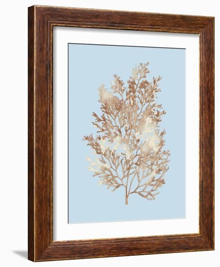 Coral III-Sloane Addison ?-Framed Art Print