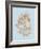 Coral III-Sloane Addison ?-Framed Art Print