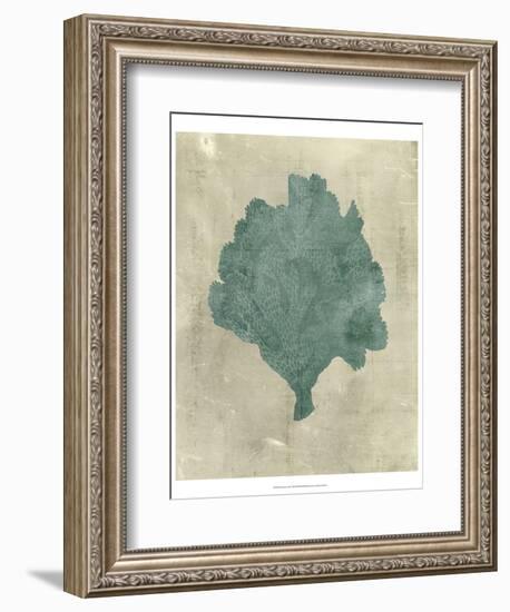 Coral in Teal-Vision Studio-Framed Art Print